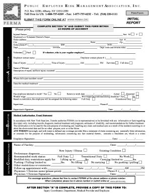 New York Workplace Injury Report Form