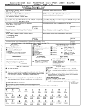US Bankruptcy Voluntary Petition