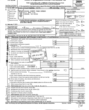 IRS Form 990 2005