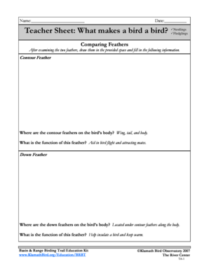 Bird Feather Observation Form