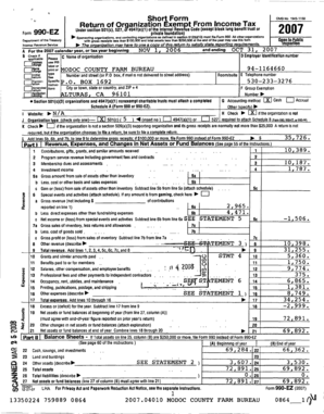 Form 990-EZ Tax Return