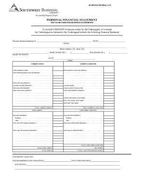 Personal Financial Statement Form