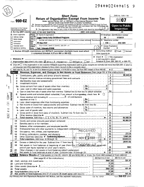 Form 990-EZ 2007