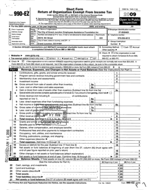 Form 990-EZ 2009