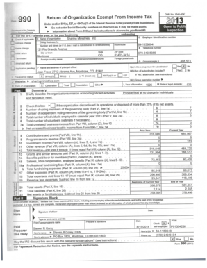 IRS Form 990
