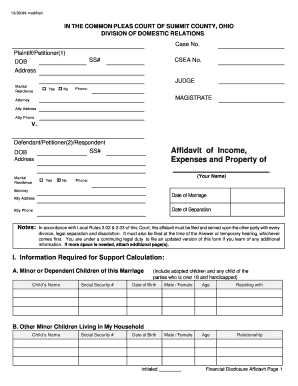 Financial Disclosure Affidavit