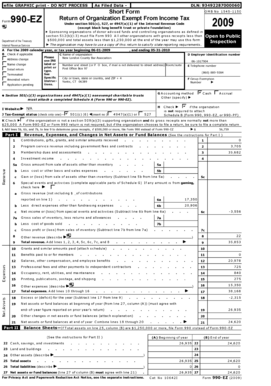 Form 990-EZ 2009