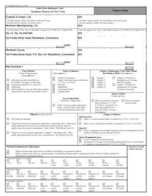 US Bankruptcy Court Voluntary Petition