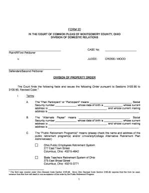 Ohio Domestic Relations Division of Property Order