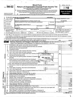 Form 990-EZ Tax Return