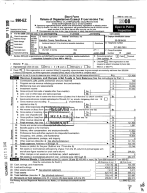 Form 990-EZ 2008