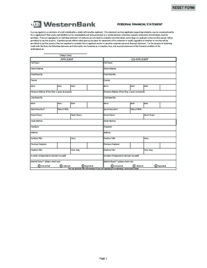 Personal Financial Statement for Credit Application