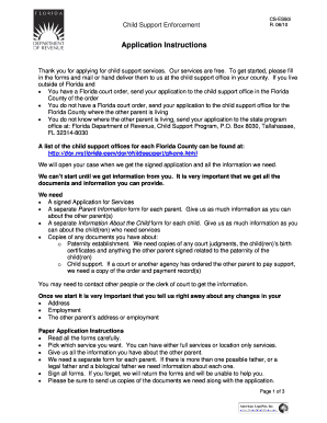 Florida Child Support Enforcement Application