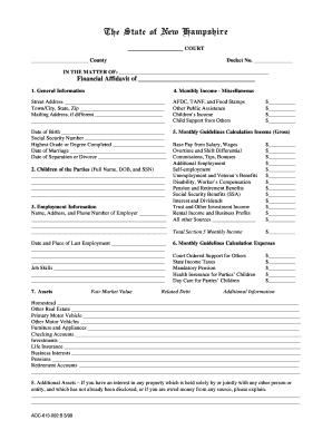 Financial Affidavit Form