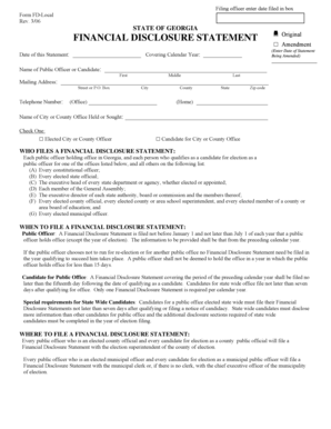 Georgia Financial Disclosure Statement