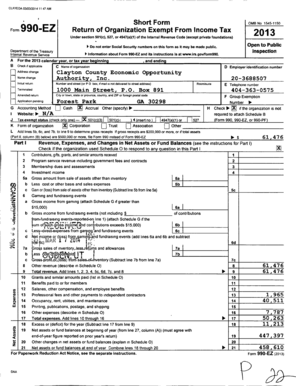 Form 990-EZ 2013