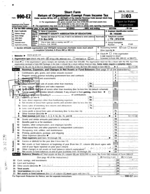 Form 990-EZ Short Form