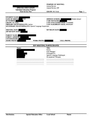Special Education IEP Form