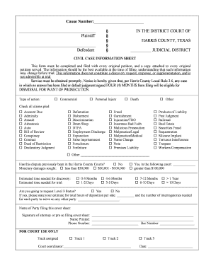 Civil Case Information Sheet