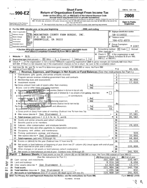 Form 990-EZ 2008