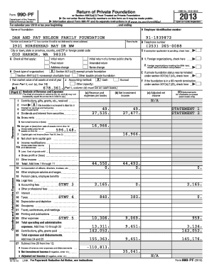 Form 990 pf - 2013 IRS Form 990-PF - The Dan and Pat Nelson Family Foundation - dpnfamilyfoundation