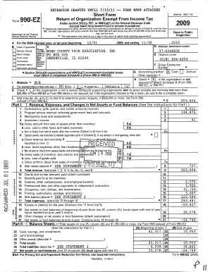 Form 990-EZ Tax Return