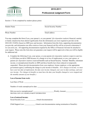 Professional Judgment Form