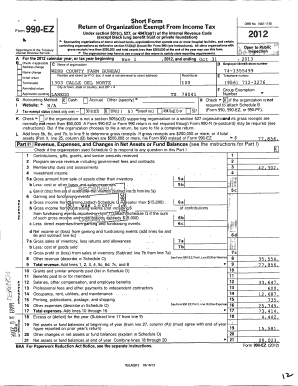 Form 990-EZ Tax Return for Exempt Organizations