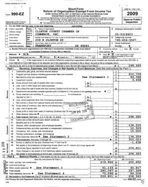 Form 990-EZ Tax Return