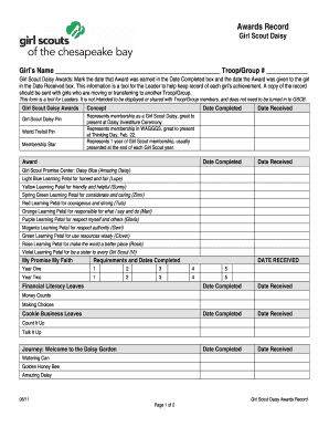 Girl Scout Daisy Awards Record
