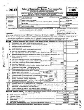 Form 990-EZ 2009