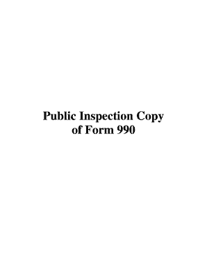 Form 990 Public Inspection Copy