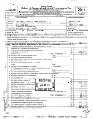 Form 990-EZ Tax Return
