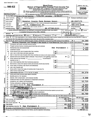 Form 990-EZ 2006