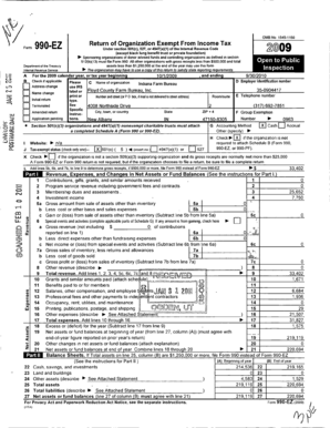Form 990-EZ Tax Return