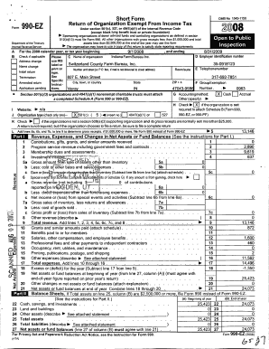 Form 990-EZ Tax Return