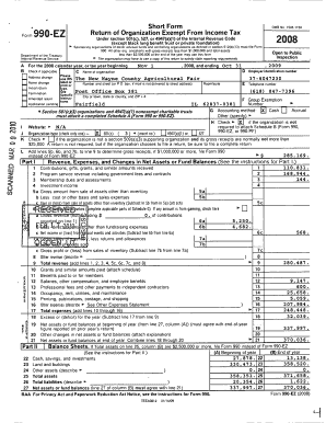 Form 990-EZ Exempt Organization Tax Return
