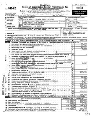 Form 990-EZ 2008