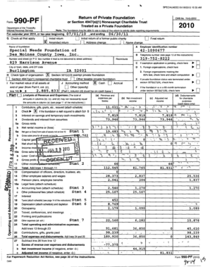Form 990-PF 2010
