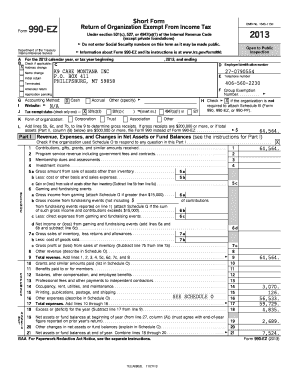 Form 990-EZ Tax Return