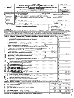IRS Form 990-EZ 2004