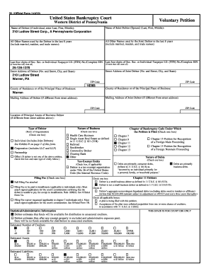 US Bankruptcy Voluntary Petition Form B1