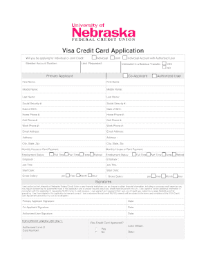 Visa Credit Card Application