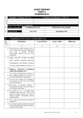 Audit Report Schedule IV