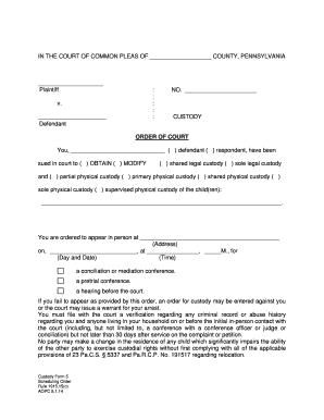 Custody Form 5 Scheduling Order