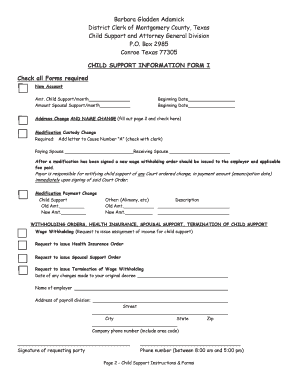 Child Support Information Form