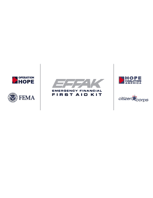 Emergency Financial First Aid Kit