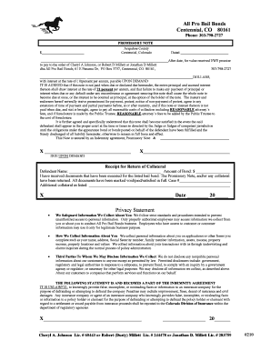 Bail Bond Indemnity Agreement