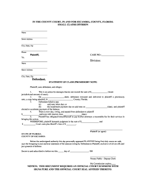 Florida Small Claims Promissory Note Statement of Claim