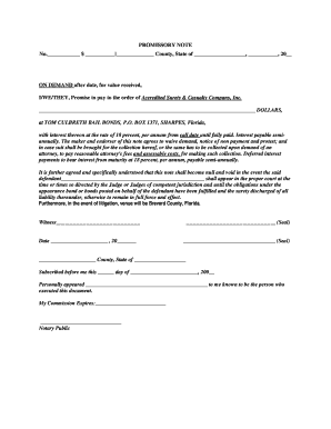 Promissory Note for Bail Bond